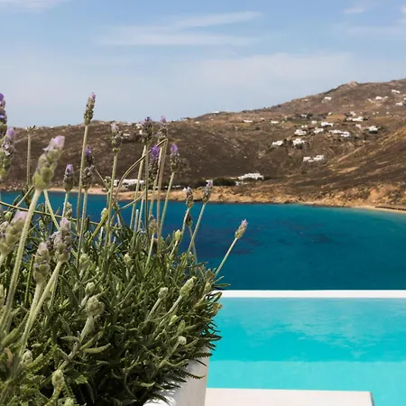 Greco Philia Boutique Elia (Mykonos)